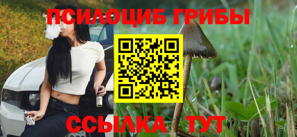 Дивногорск  Псилоцибиновые грибы Psilocybe  Галлюциногенные грибы Magic Shrooms  Вход с VPN 